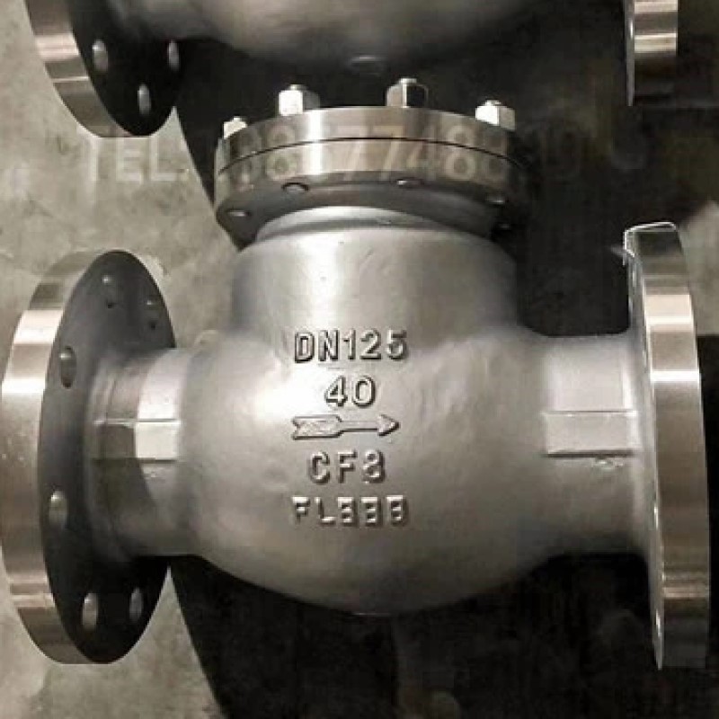 Swing Check Valve