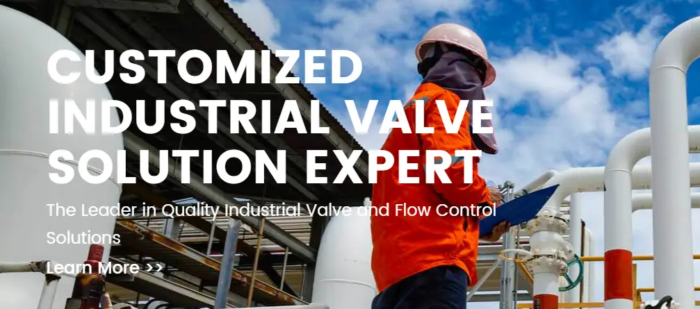 CUSTOMIZED INDUSTRIAL VALVE
SOLUTION EXPERT GOWIN