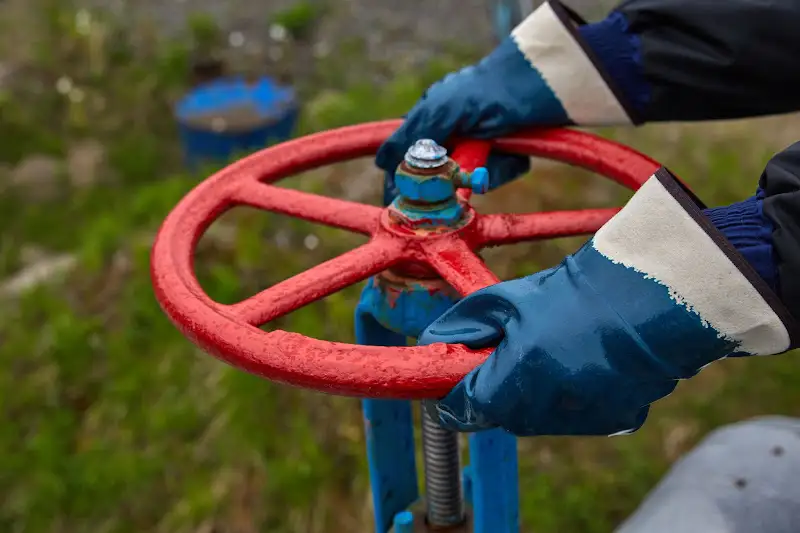 What Is a Pressure Seal Gate Valve?
pict